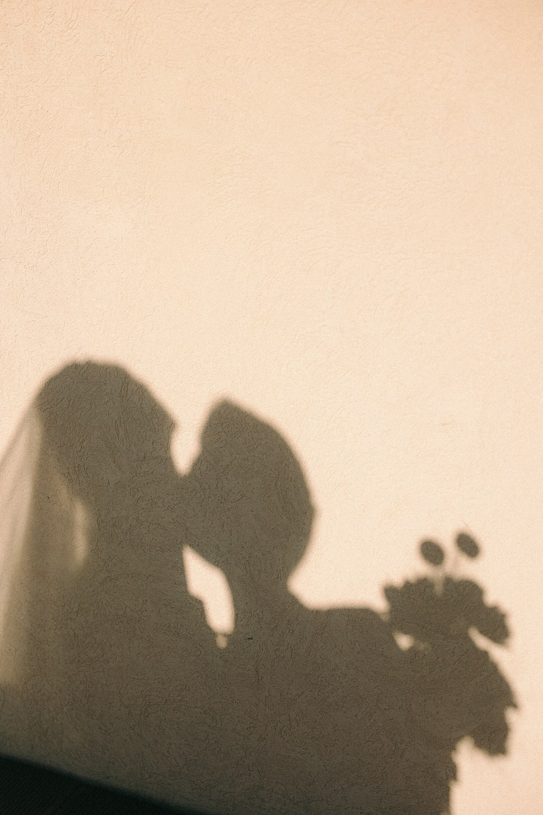 Илья и Настя. Фотограф Нижний Новгород