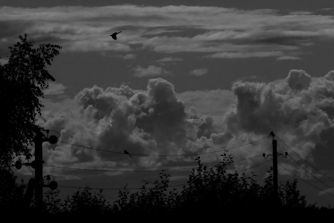 Марафон «Формула креативности». Женский семейный фотограф Тула Москва Захарова Анна