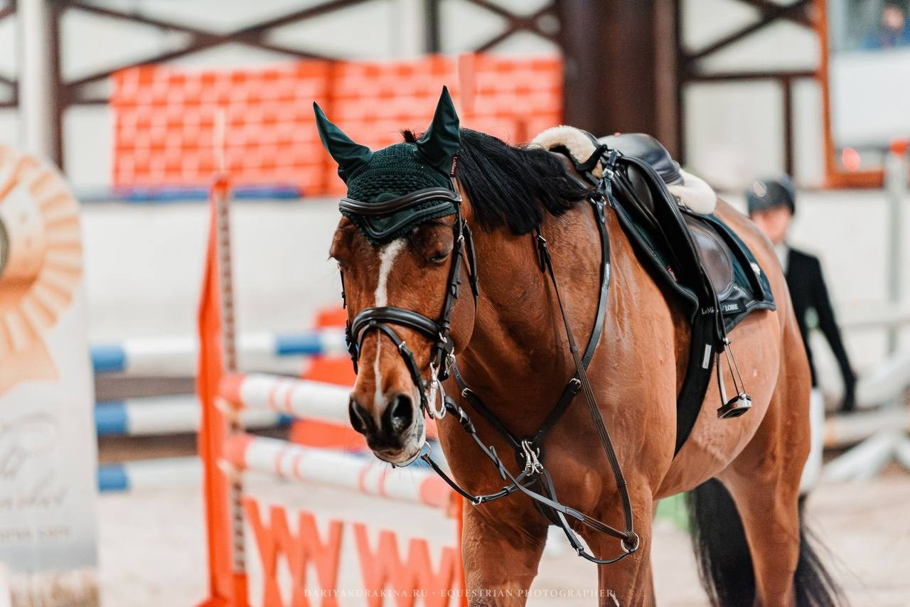 ОТКРЫТИЕ ЗИМНЕГО СЕЗОНА ПО КОНКУРУ В КСК «БЕЛАЯ ДАЧА». Куракина Дарья • Конный фотограф
