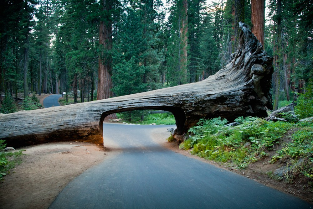 Landscape photography. Photographer Kirill Sergeev | Moscow