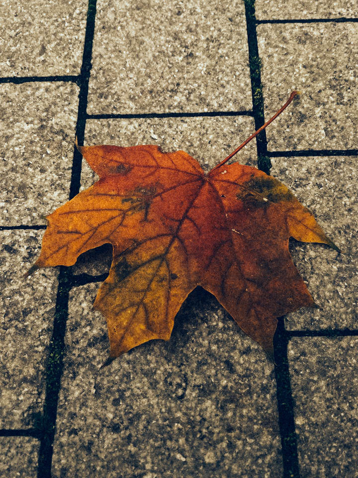 Presets. Фотограф в Москве Евгения Воробьева