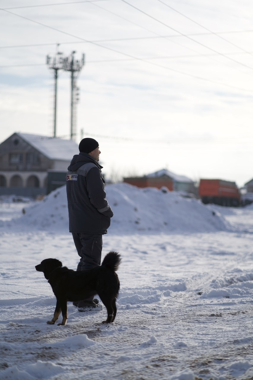 Услуги спецтехники. Das House