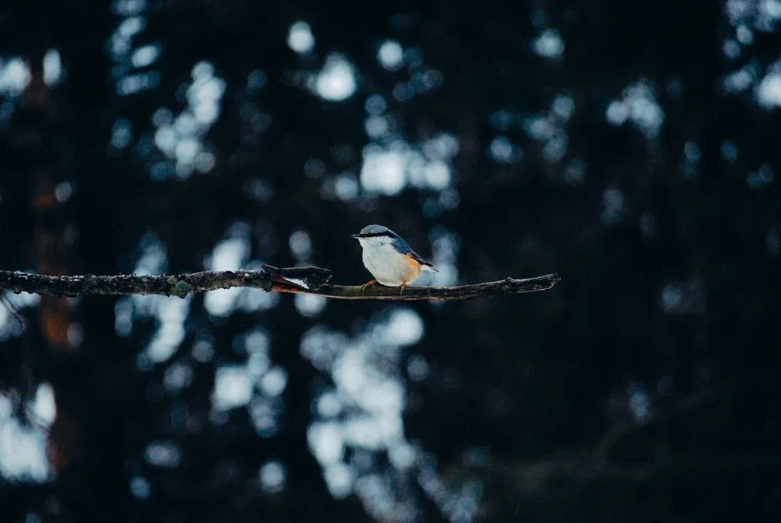 Городской пейзаж. Костюмер, художник кино и телевидения в спб
