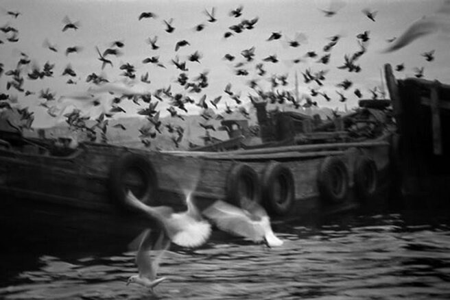 черно-белая уличная фотография Стамбула, снятая Ара Гюлером