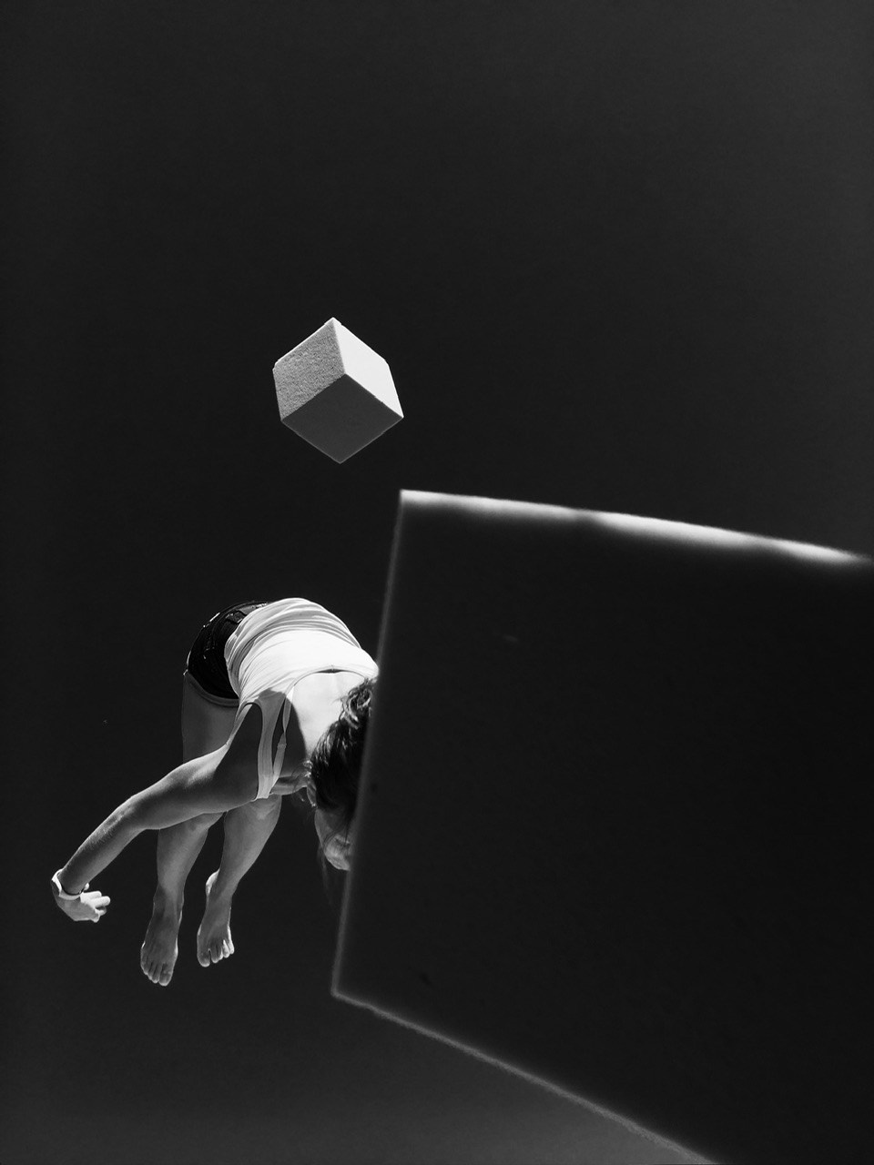 Just Fly. Фотограф Евгений Андреев