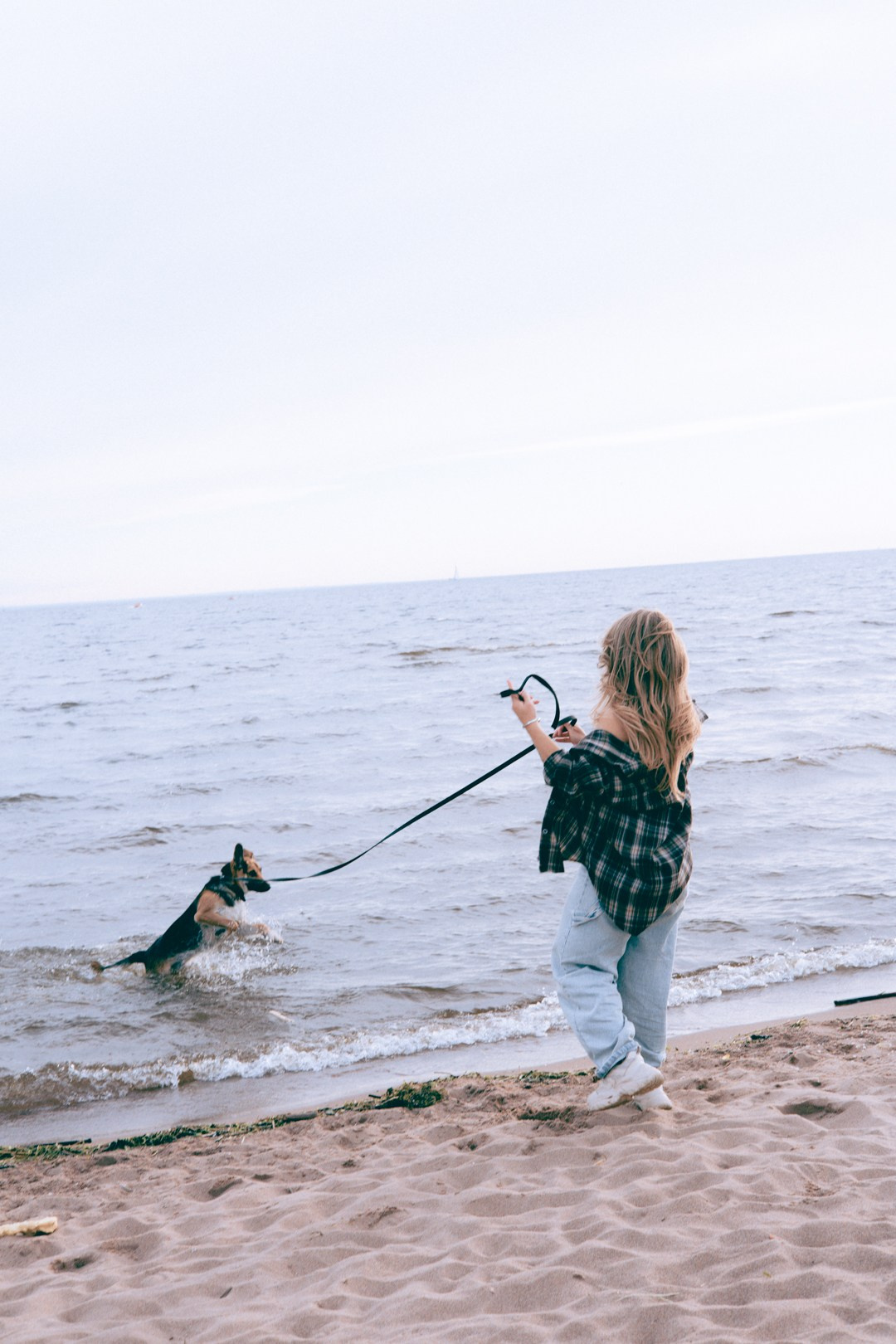 Dogs. Юлия Астра: Фотограф в Санкт-Петербурге. Снимаю женские портреты, уличные съёмки в Петербурге и людей с их собаками