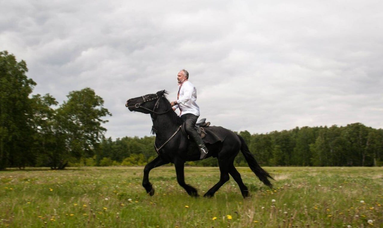 Фото наших лошадок. Конные прогулки в клубе «Анкор» — Омск