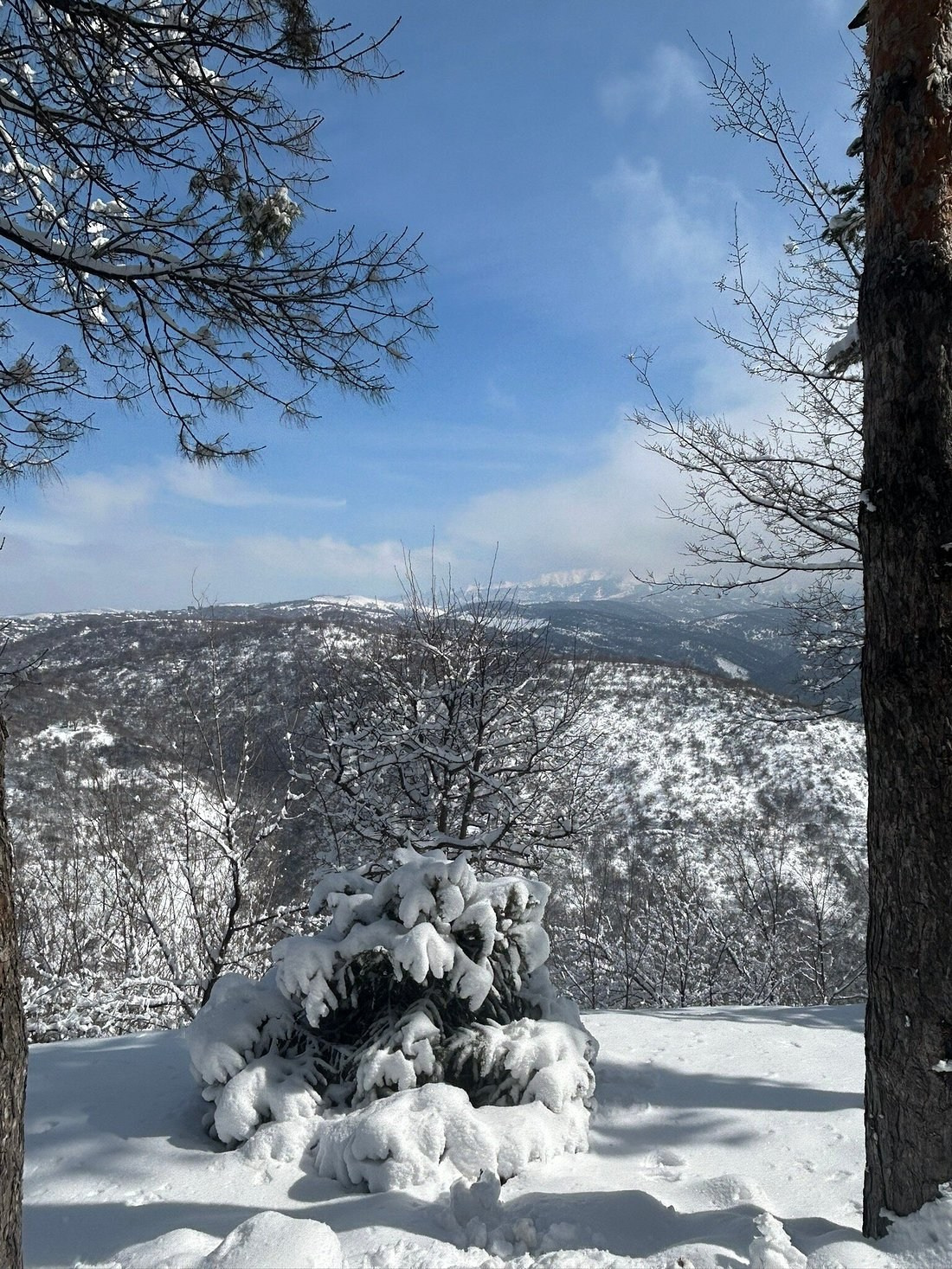 Кок-Тобе в Алматы — парк, канатная дорога и панорама города