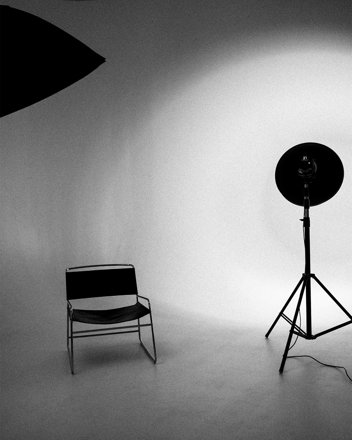 Darii. Alena Gribkova