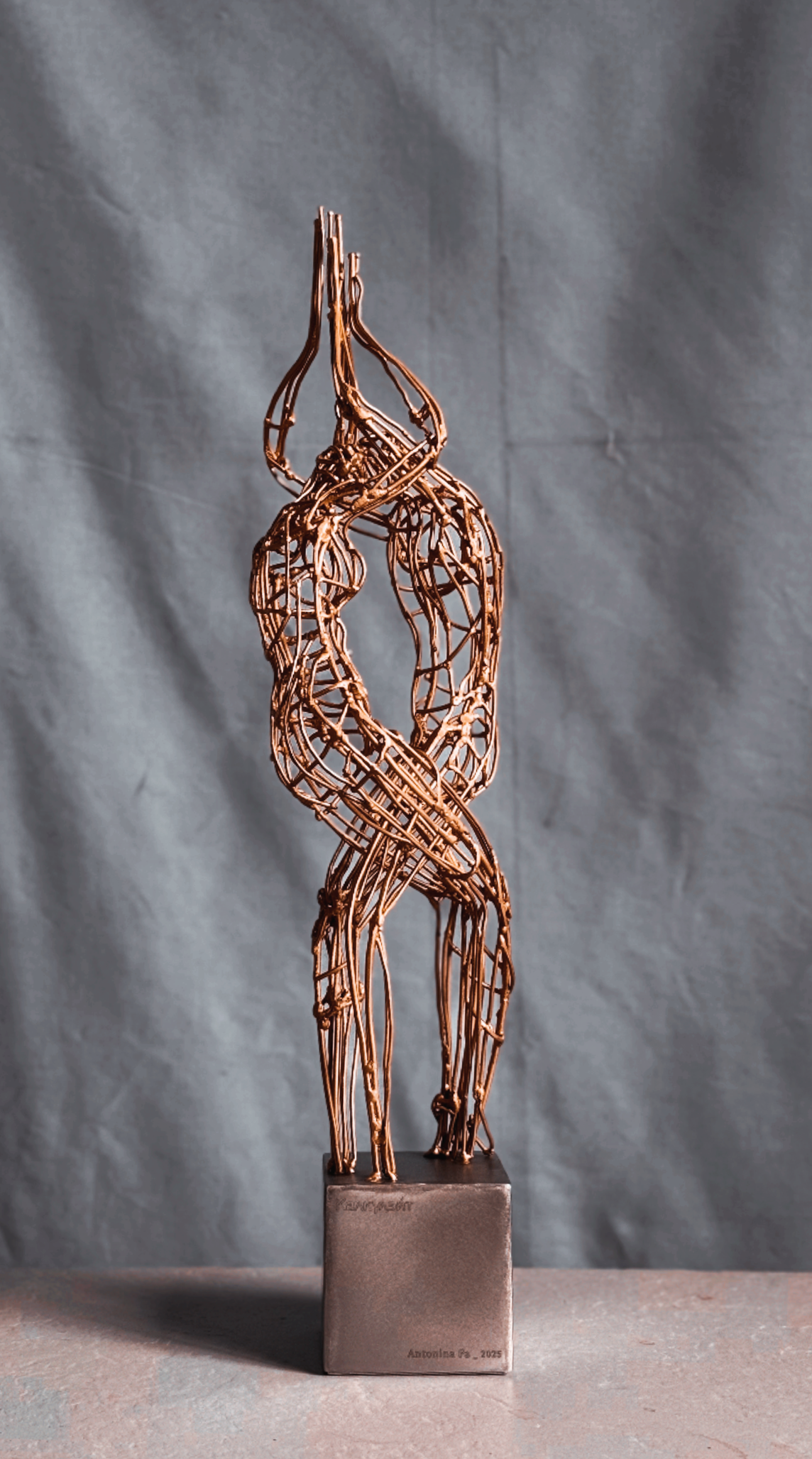 Витая пара / Twisted pair_2025. Художник — скульптор Антонина Фатхуллина