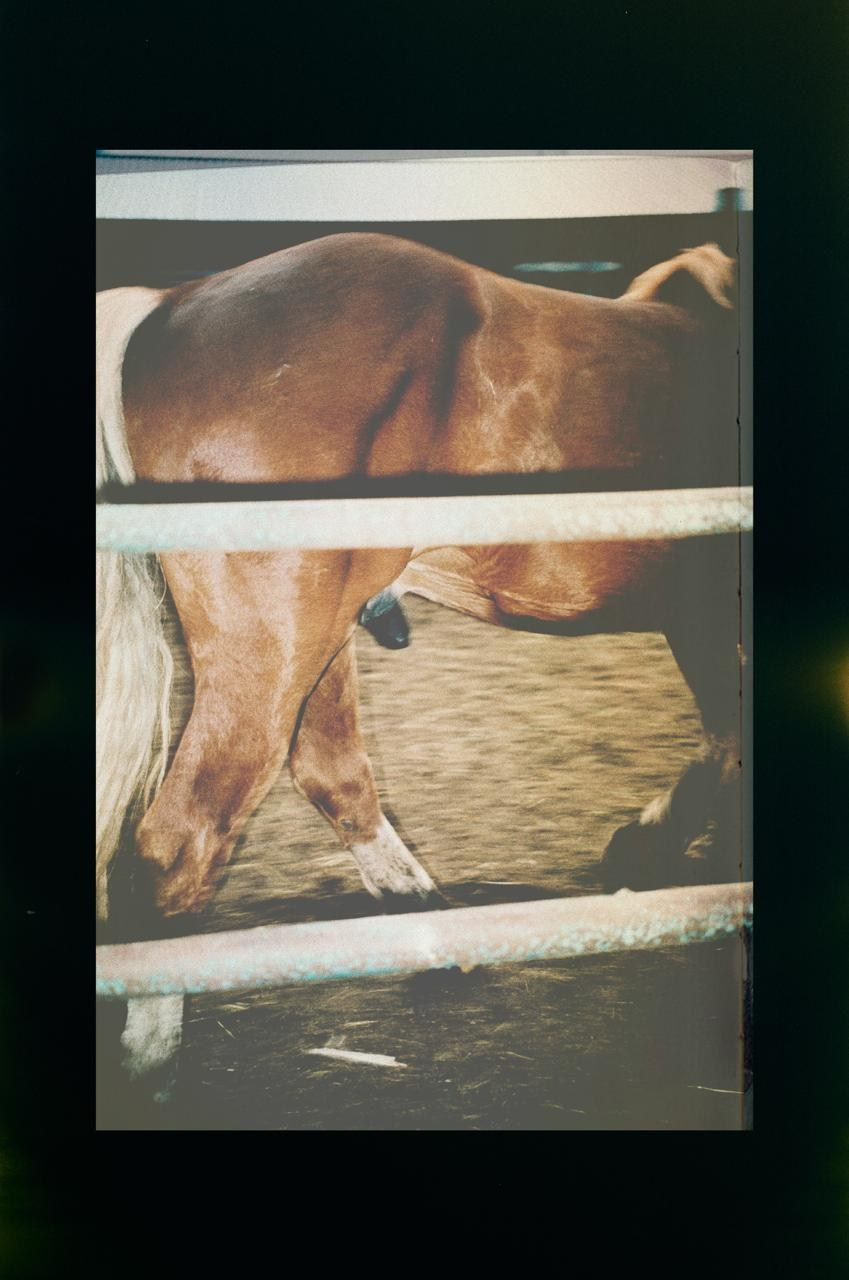 RANDOM. Nik Paustovskiy photography