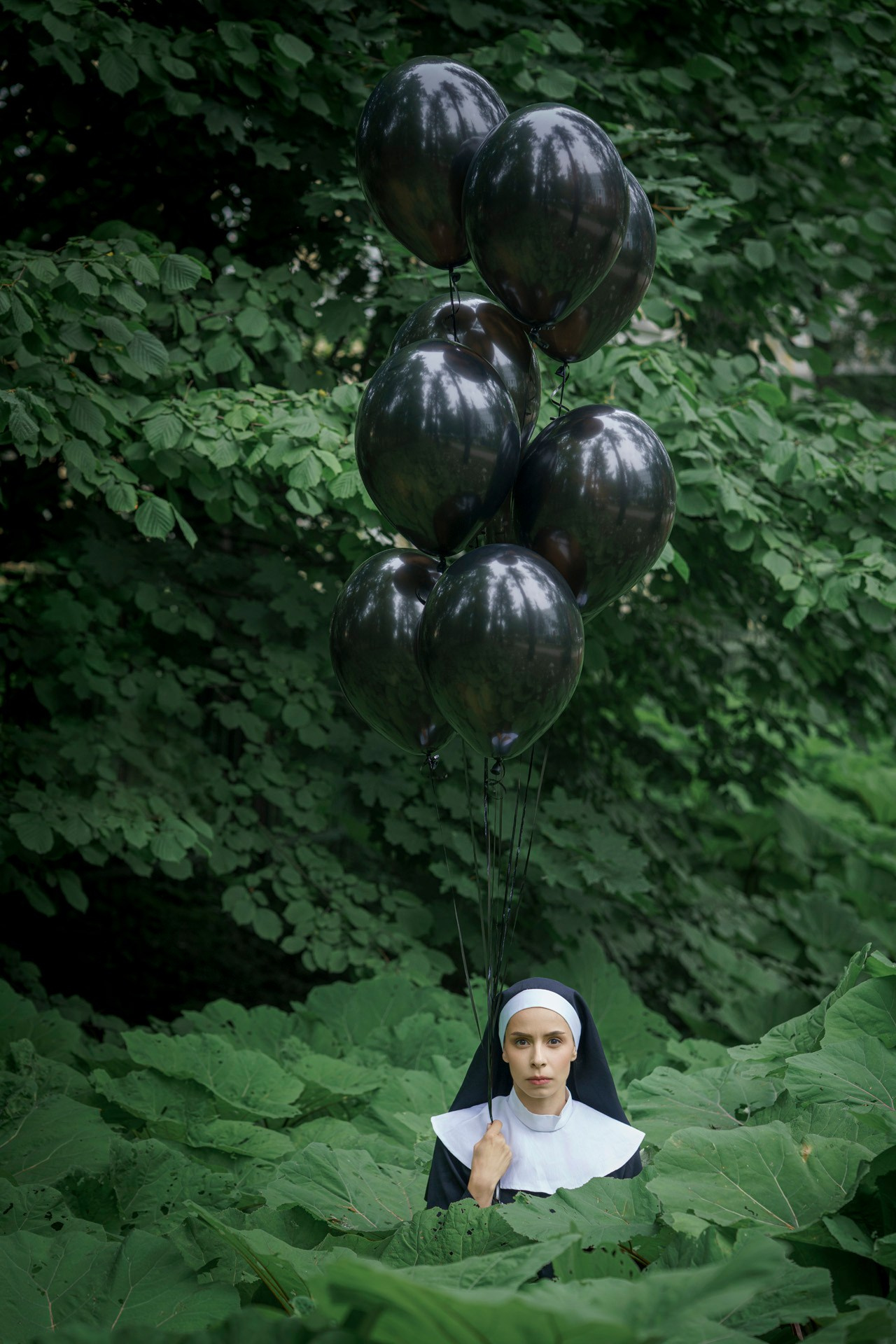 Лопухи. Фотограф Сергей Танков