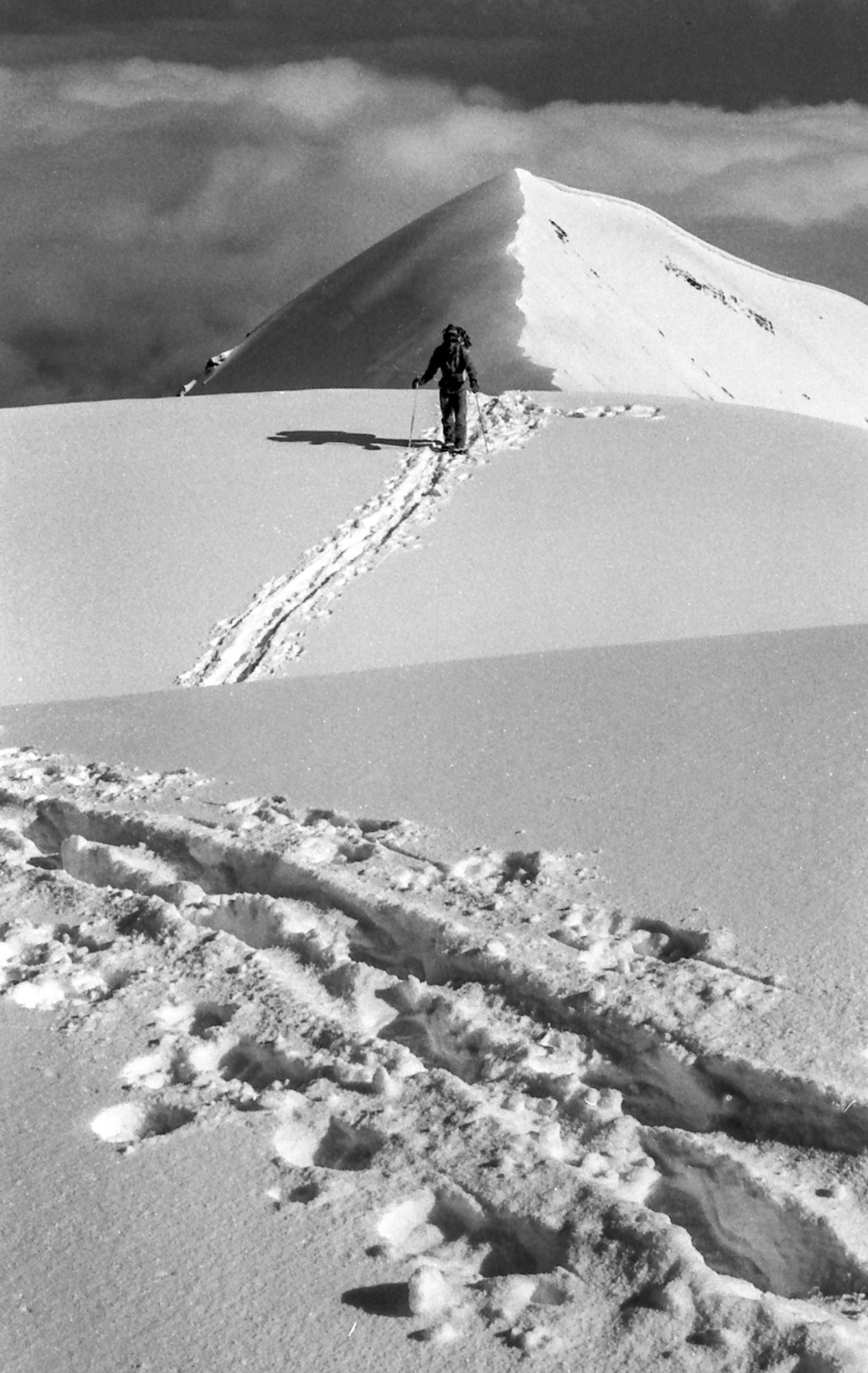 Свадебный фотограф в Геленджике