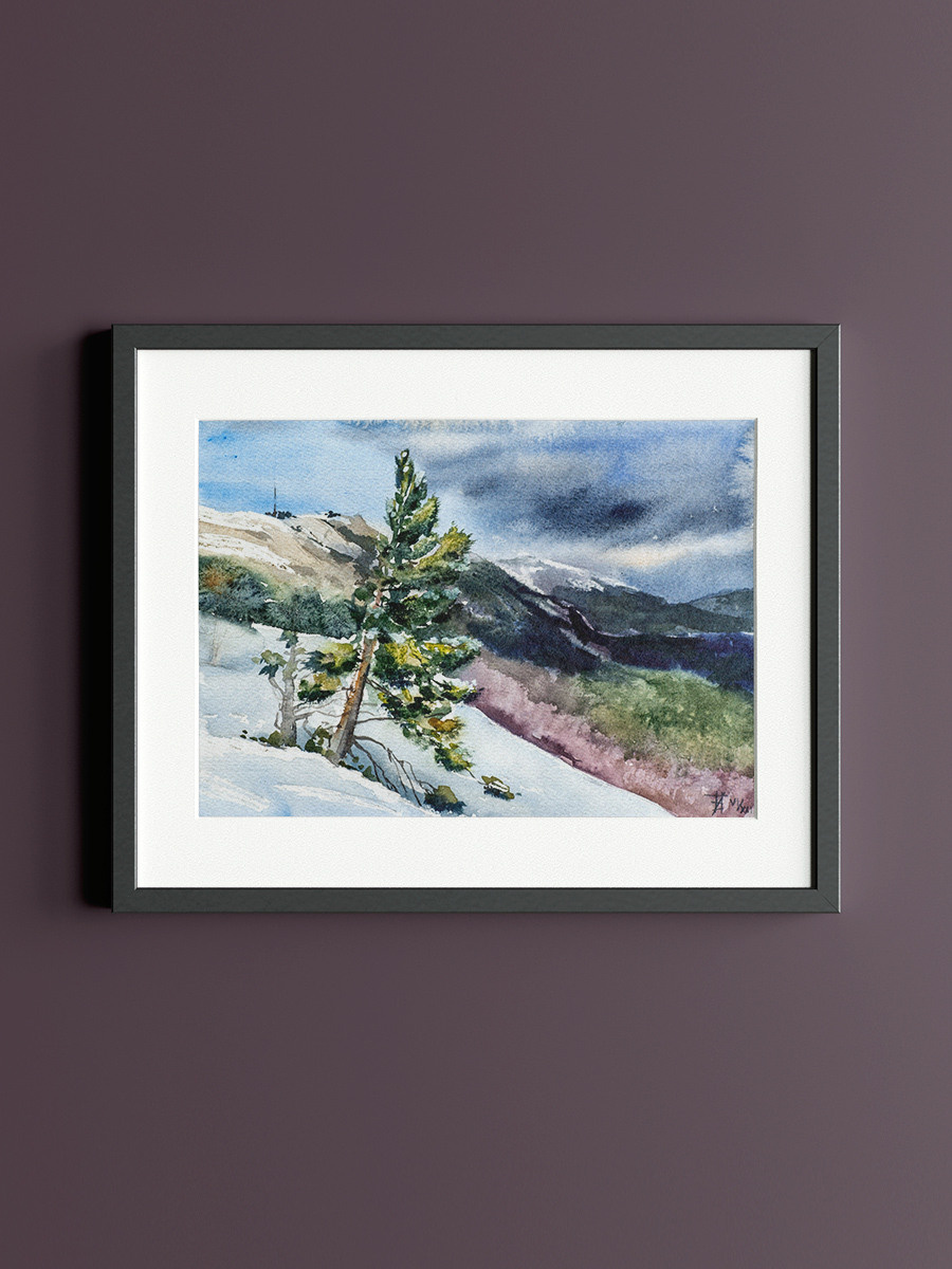 Одинокая сосна. ФотоКисточка. Акварель. Арт-галерея картин Анастасии Дерий