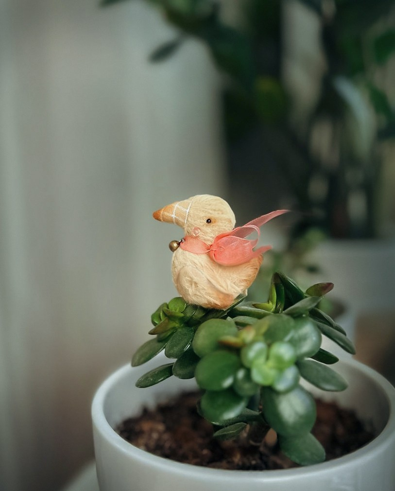 Тедди. Фотограф Ольга Сальманович