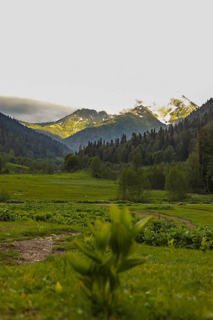 АБХАЗИЯ. Фотограф Севастополь/Крым Светлана Евтушенко
