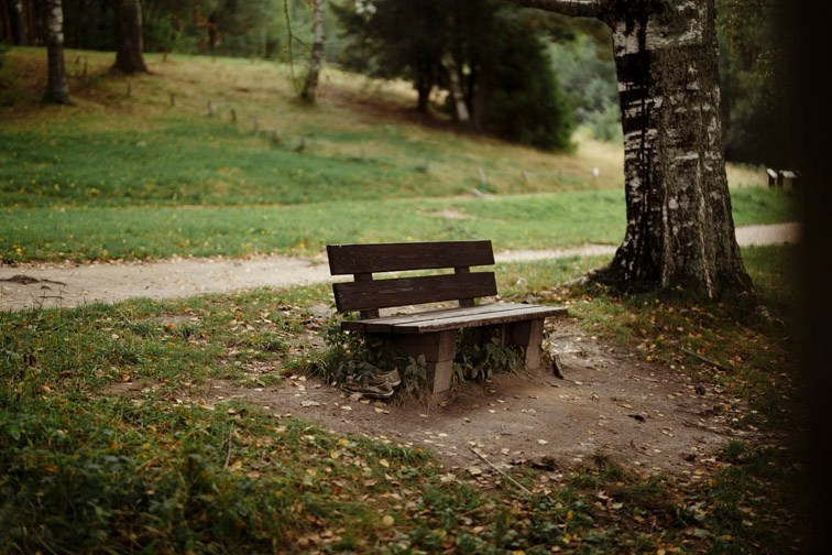 Сюжет № 12|Волкова Дарья