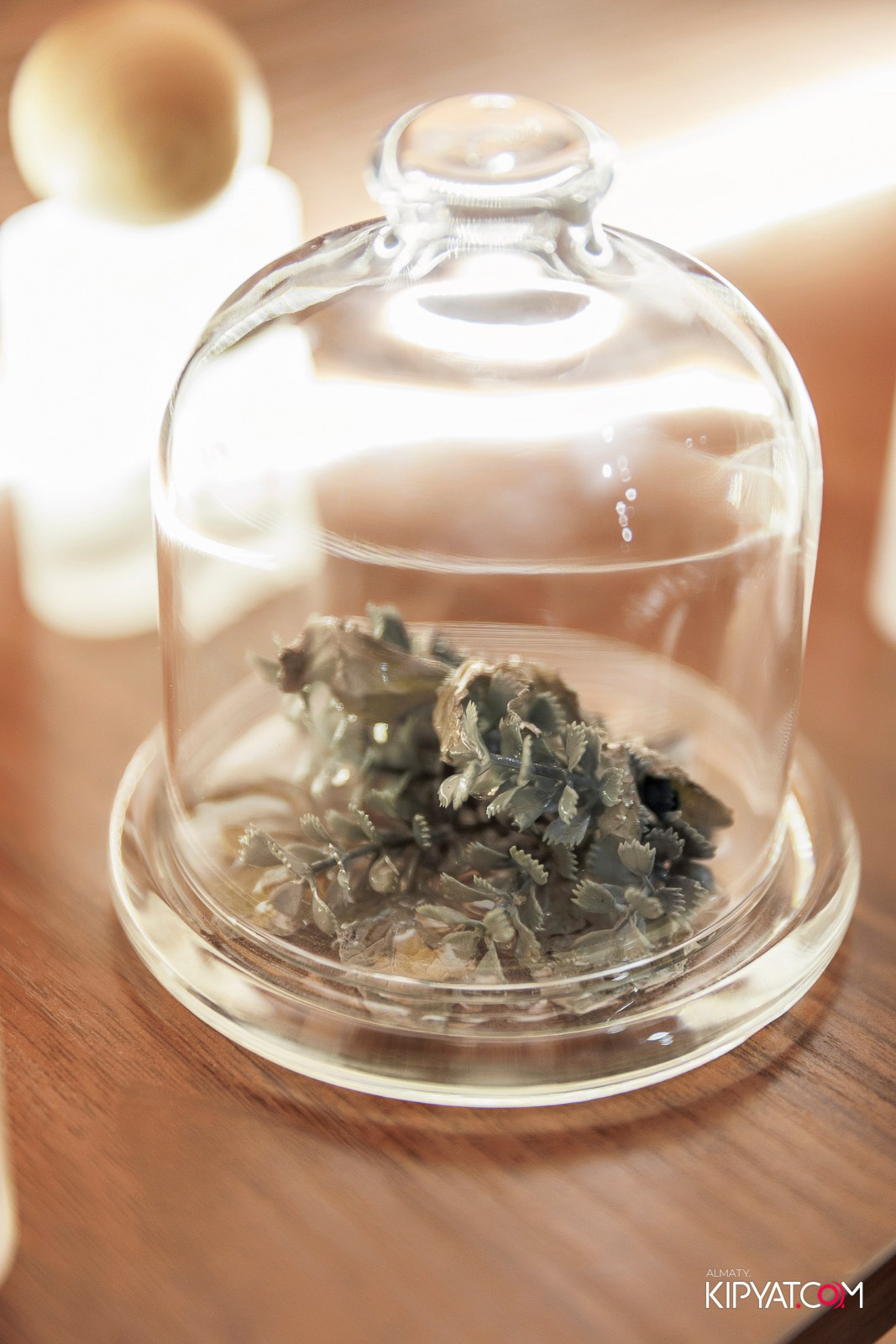 ОТКРЫТИЕ ПАРФЮМЕРНОГО ДОМА MAISON PERFUME. КИПЯТКОМ АЛМАТЫ!