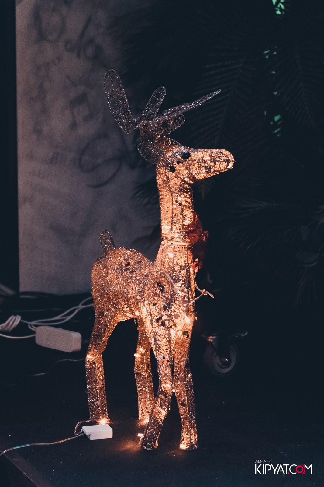 УХО И МЕДВЕДЬ НА КУРМАНГАЗЫ. КИПЯТКОМ АЛМАТЫ!