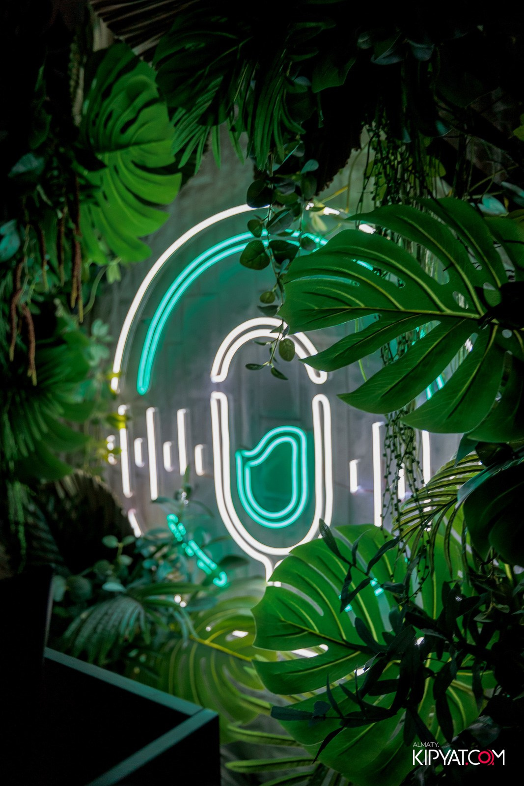 ДОРОГАЯ, Я НЕ ПИЛ. КИПЯТКОМ АЛМАТЫ!