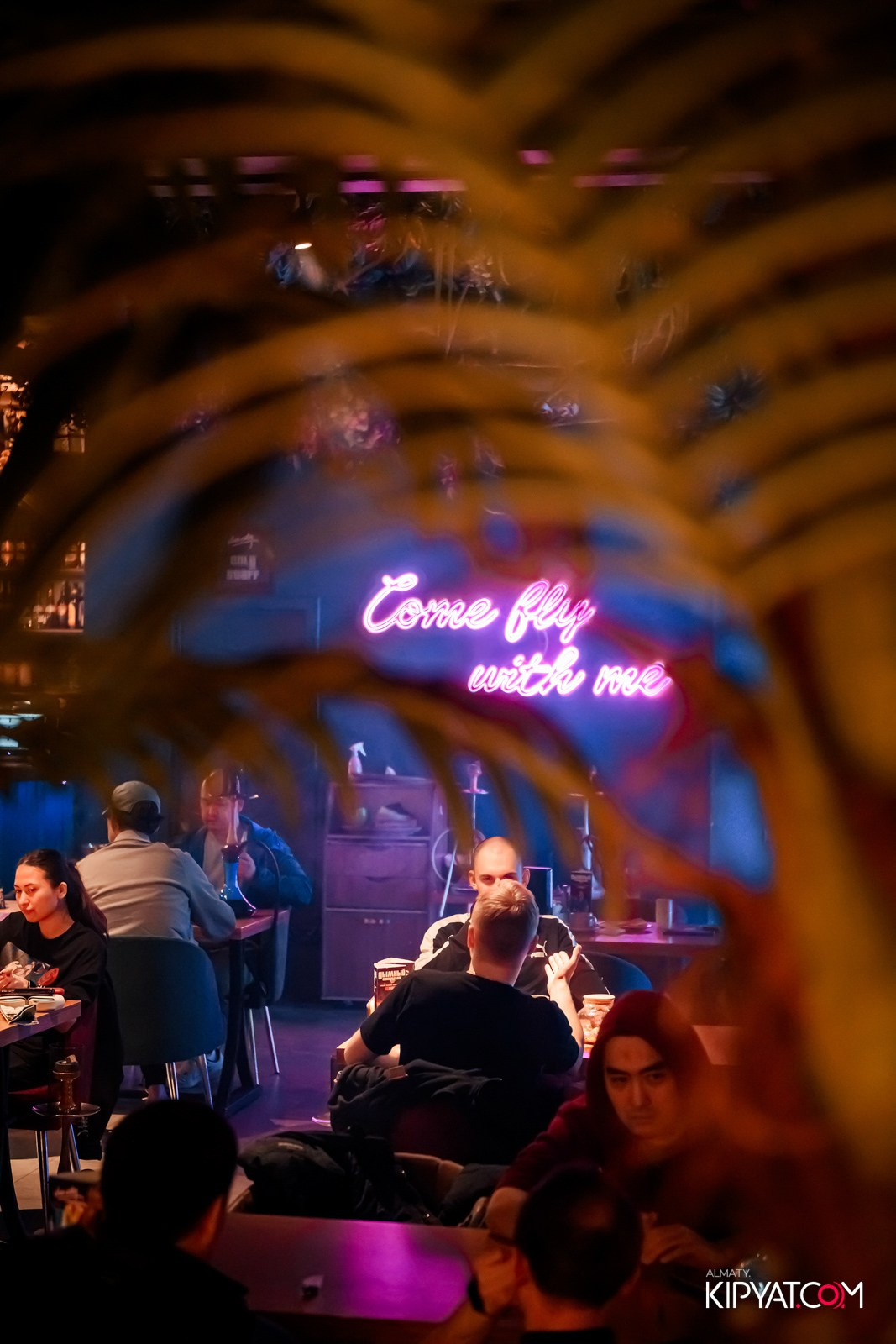 VICE CITY. КИПЯТКОМ АЛМАТЫ! Фотосъемка мероприятий в Алматы