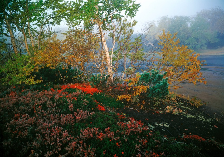 Камчатка. Кальдера Узон. ВАДИМ ГИППЕНРЕЙТЕР — ВЕЛИКИЙ ФОТОГРАФ ЗЕМЛИ РУССКОЙ