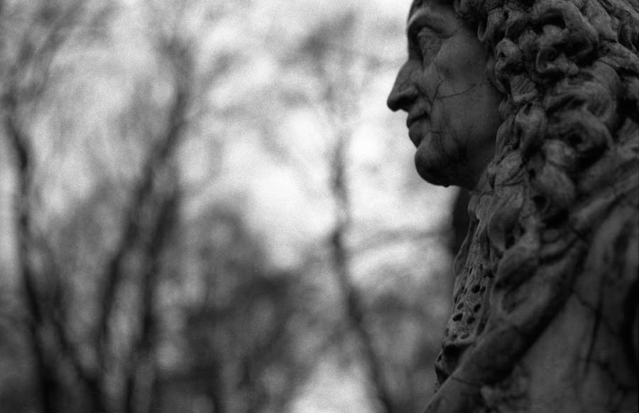 Those. Елена Цихон художник фотографии и мастер фото-ДНК