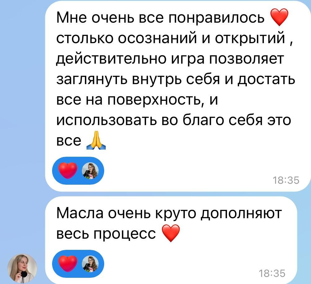 Луиза Амирова. Исследовательская игра ЗЕМЛЯНИН в Перми, Москве, Сочи, и других городах