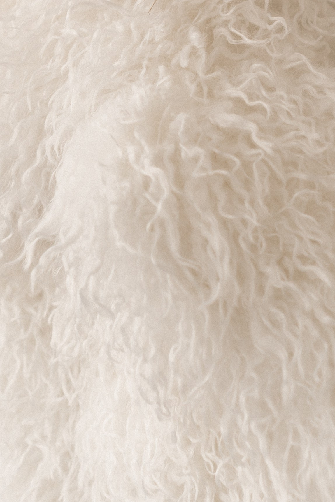 Евгений & Лана