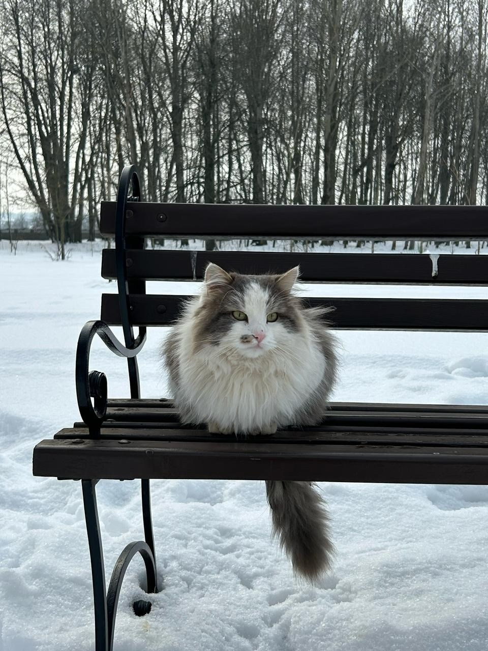 Великий Новгород | 01-02.03.2025. Галерея Фантим