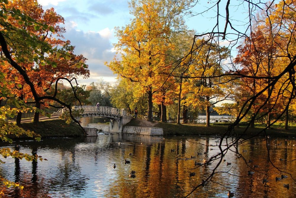 Пазлы. Фотохудожник Татьяна Бойцова