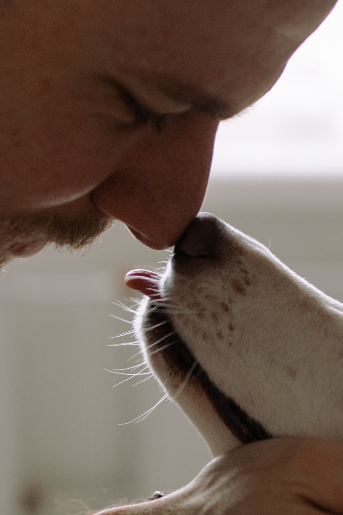 Луна и ее семья. Фотограф — Анималист | Санкт-Петербург