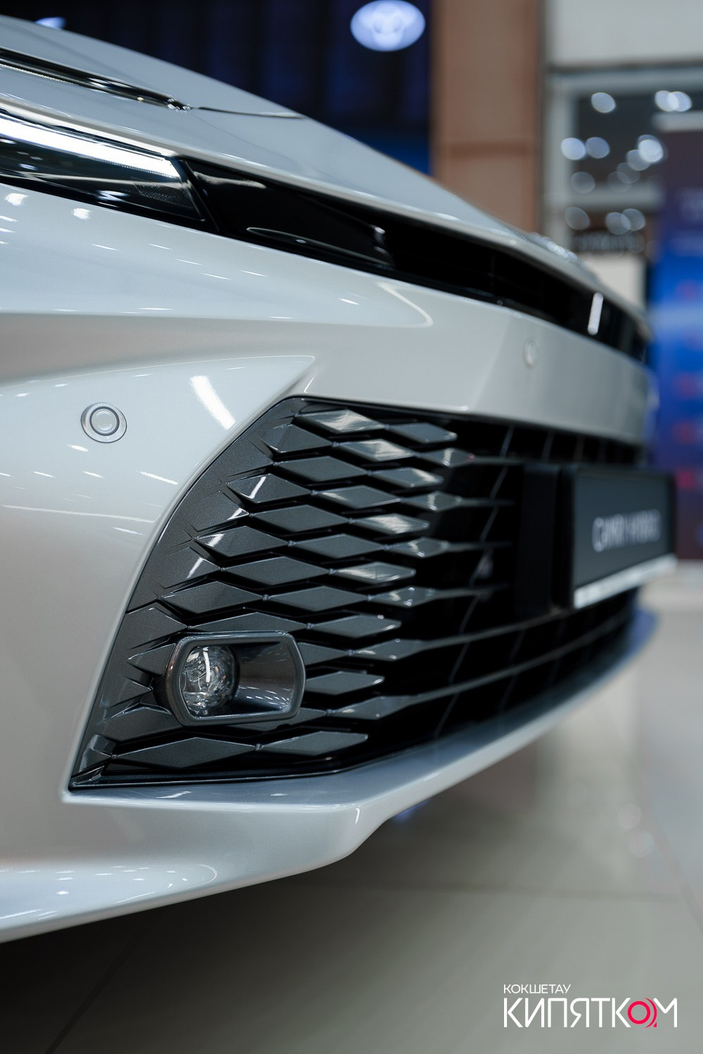 TOYOTA CENTER KOKSHETAU. КИПЯТКОМ КОКШЕТАУ