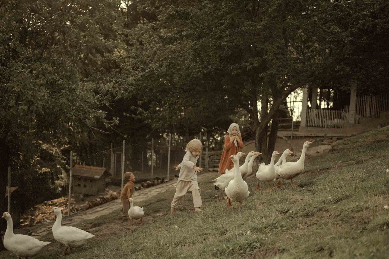 Ферма. Главная