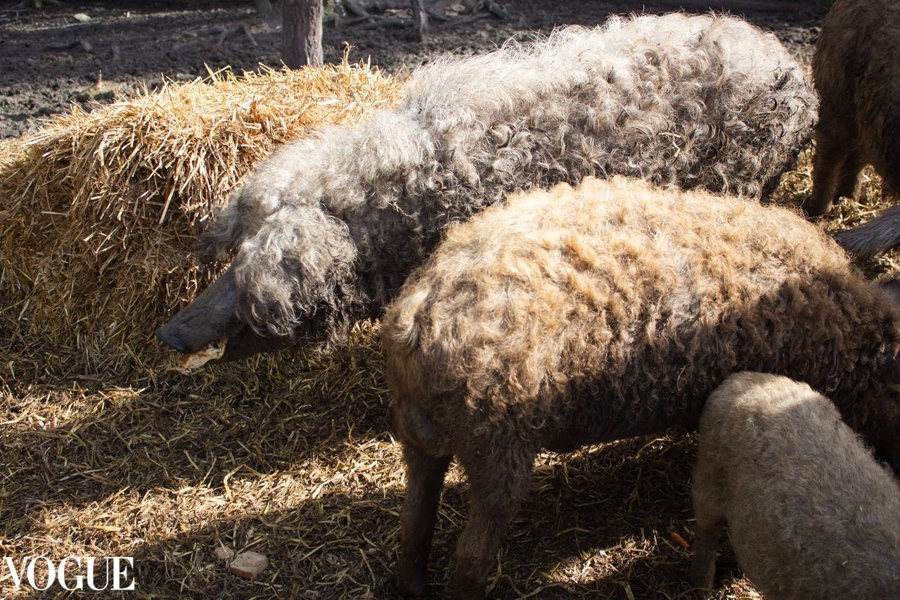 Галерея 2. Наталья Жукова. Курсы фотографии