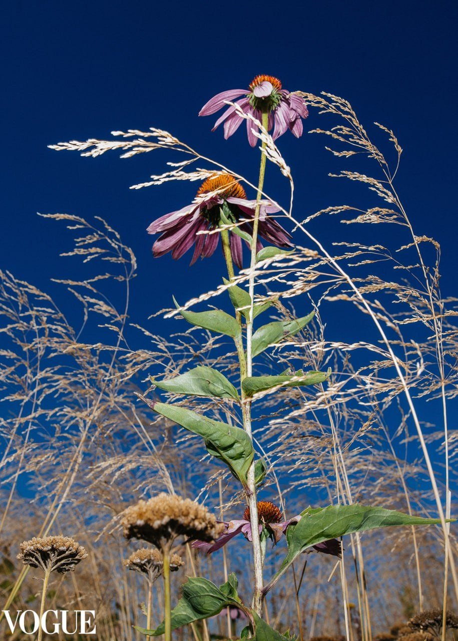 Галерея 1. Наталья Жукова. Курсы фотографии