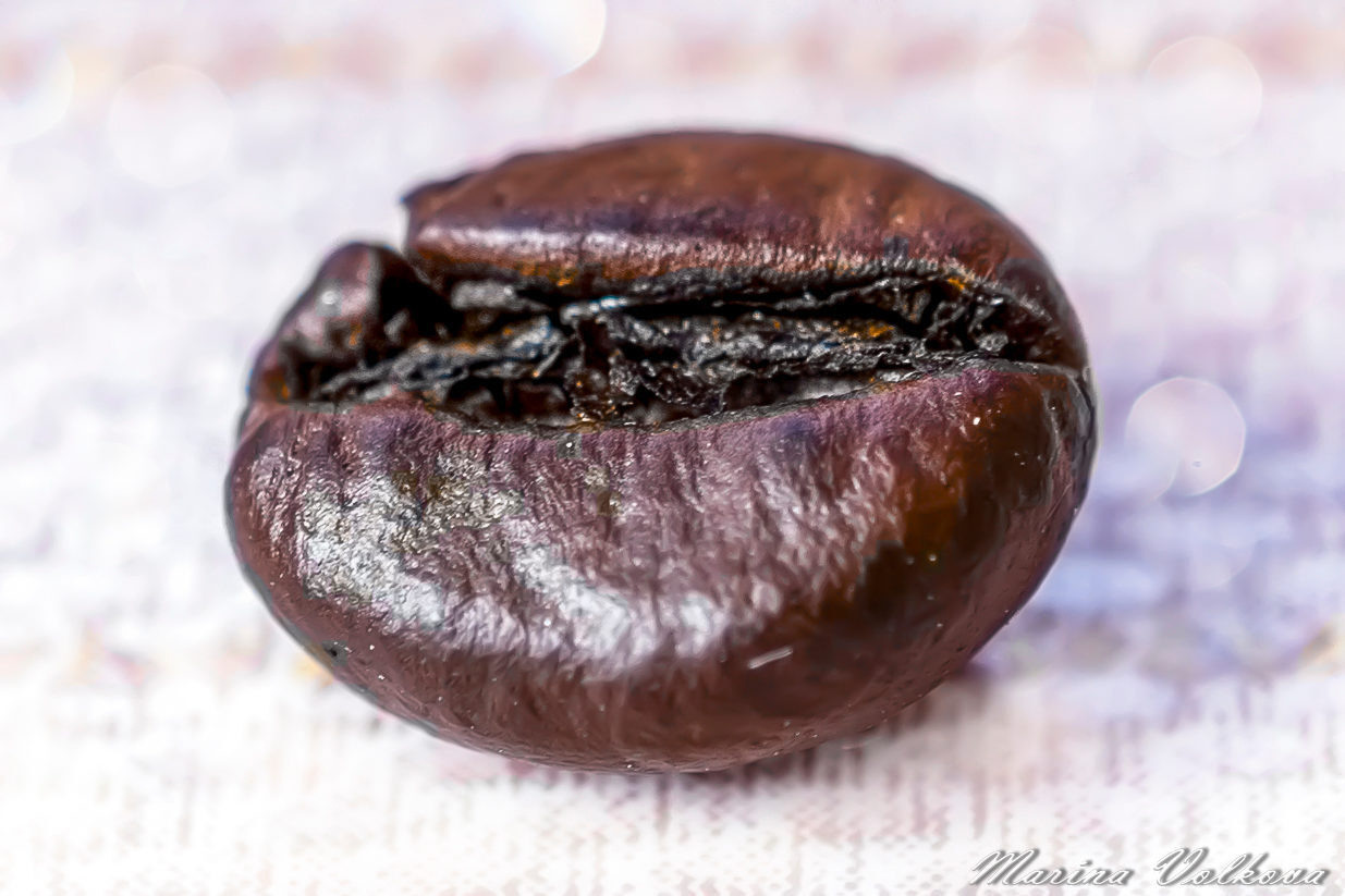 Макросъёмка. Ваш личный фотограф Марина Волкова