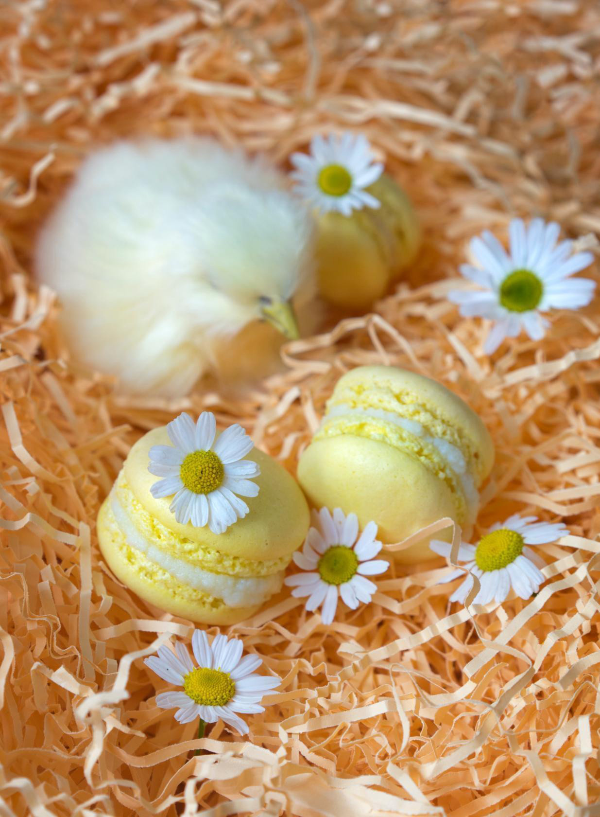 Food-фотография. Ваш личный фотограф Марина Волкова