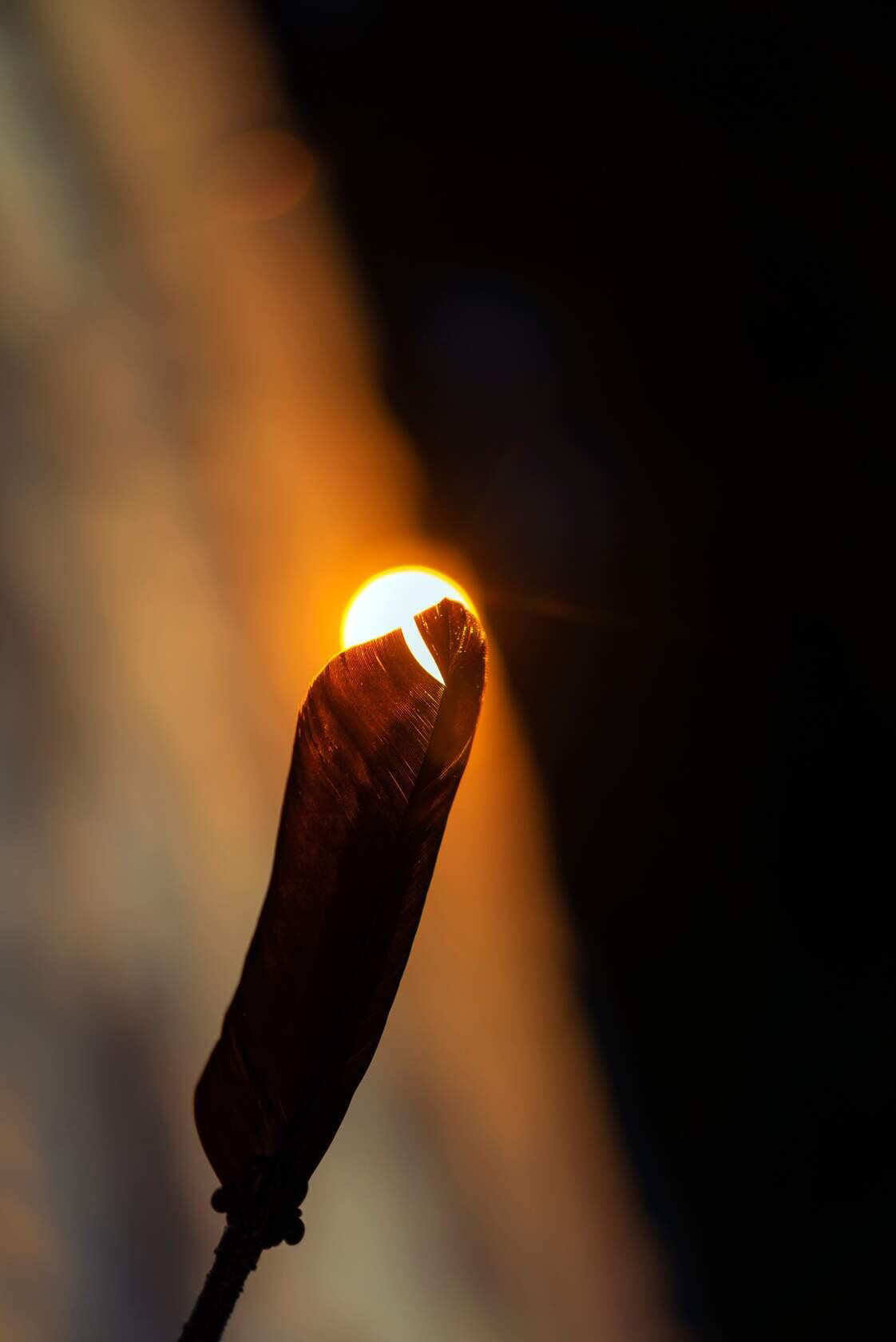 Предметная фотография. Ваш личный фотограф Марина Волкова