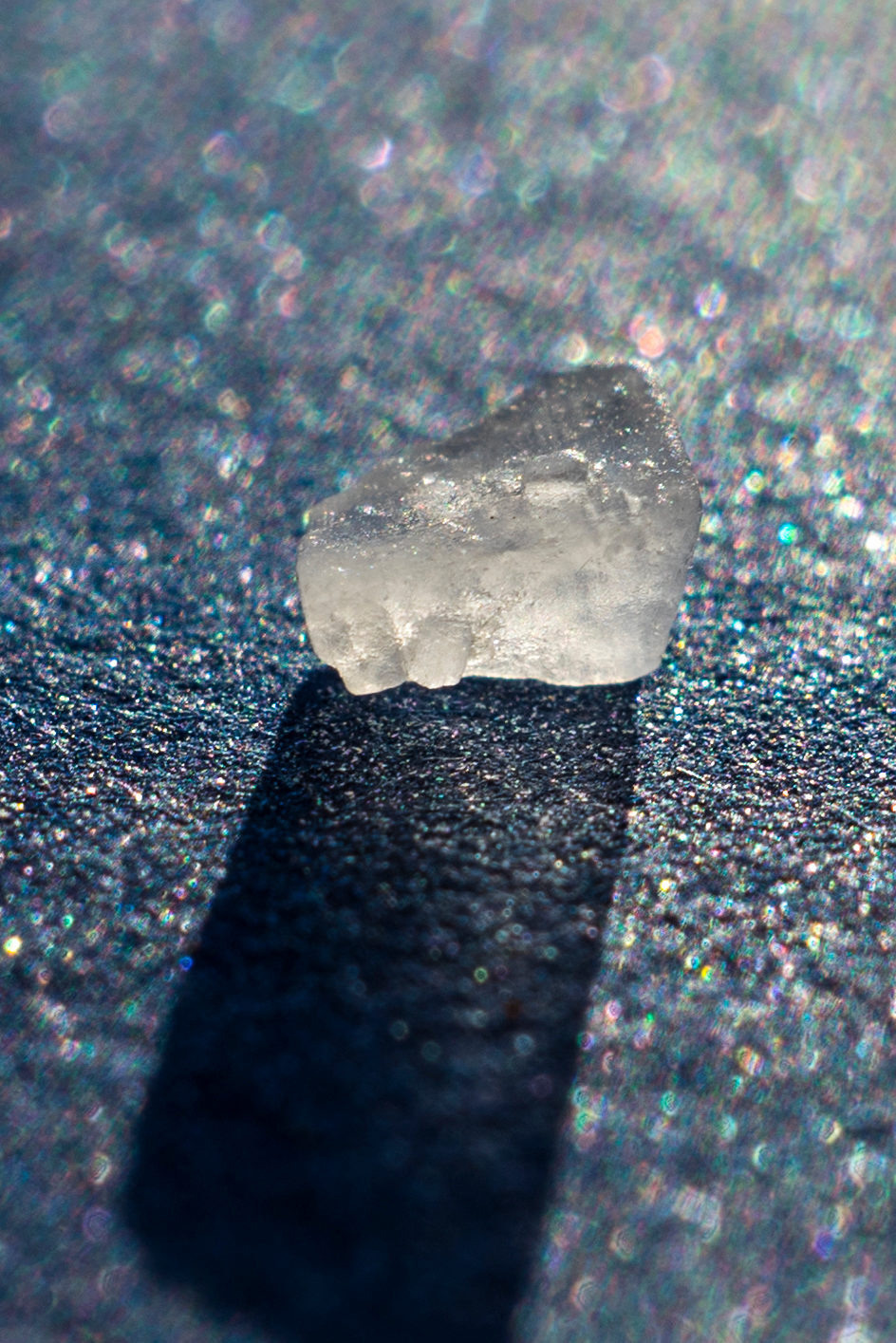 Макросъёмка. Ваш личный фотограф Марина Волкова