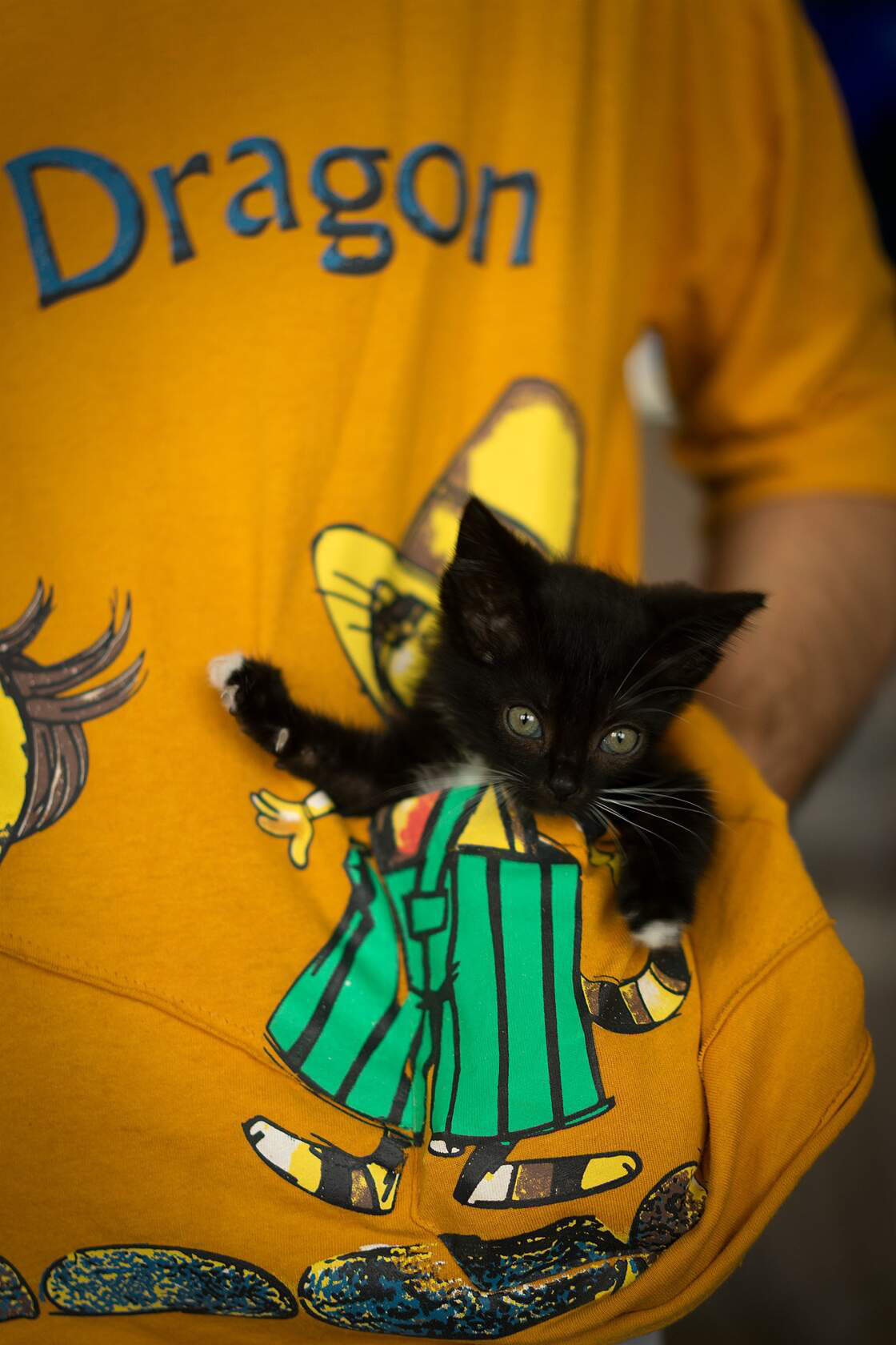 Животные. Ваш личный фотограф Марина Волкова