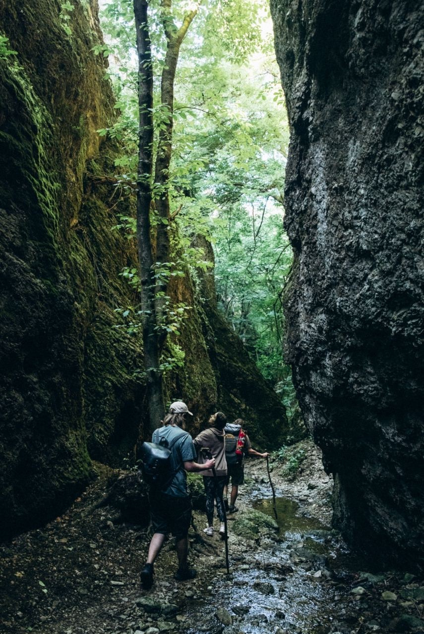 Биртвиси, Грузия 🇬🇪 «Honey Trip». Anita_photo