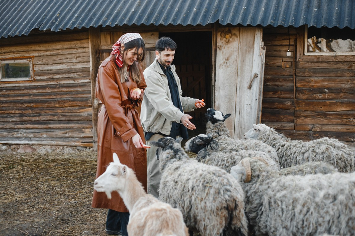 Таня и Илья. Главная