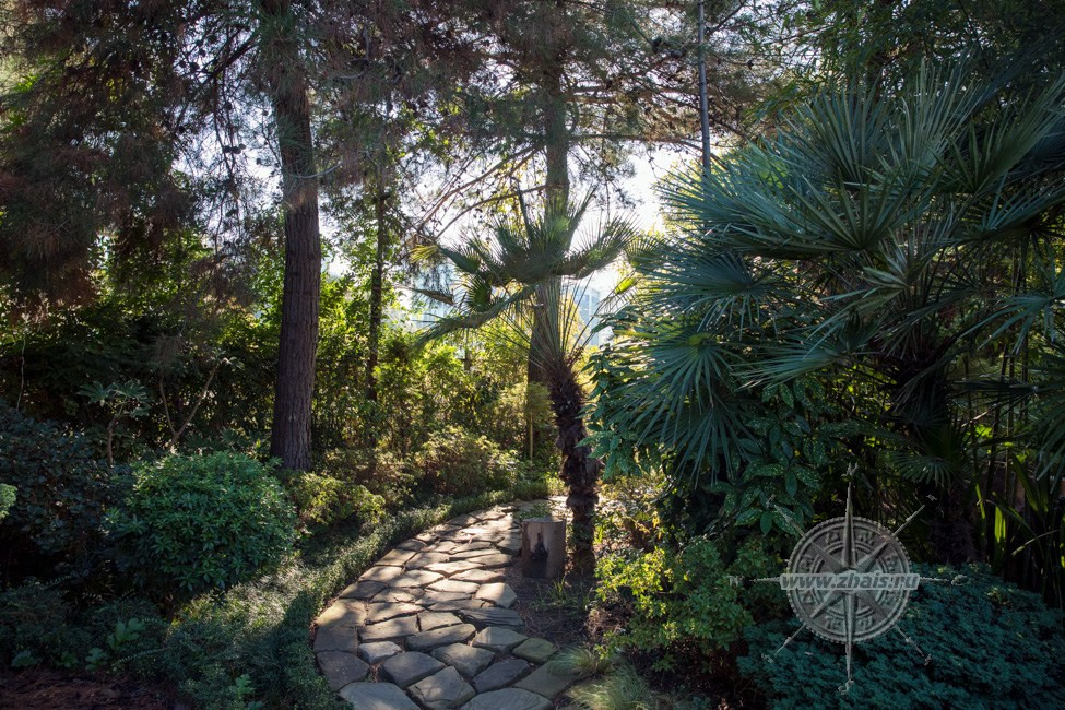 КРАСИВЫЕ МЕСТА В СОЧИ. Свадебный и семейный фотограф/видеограф в Краснодаре Наталья Осинская