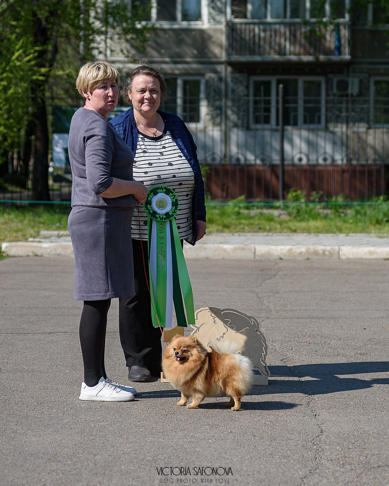 19 мая 2024 Благовещенск. Монопородная выставка шпицев. Фотограф анималист Благовещенск. Сафонова Виктория