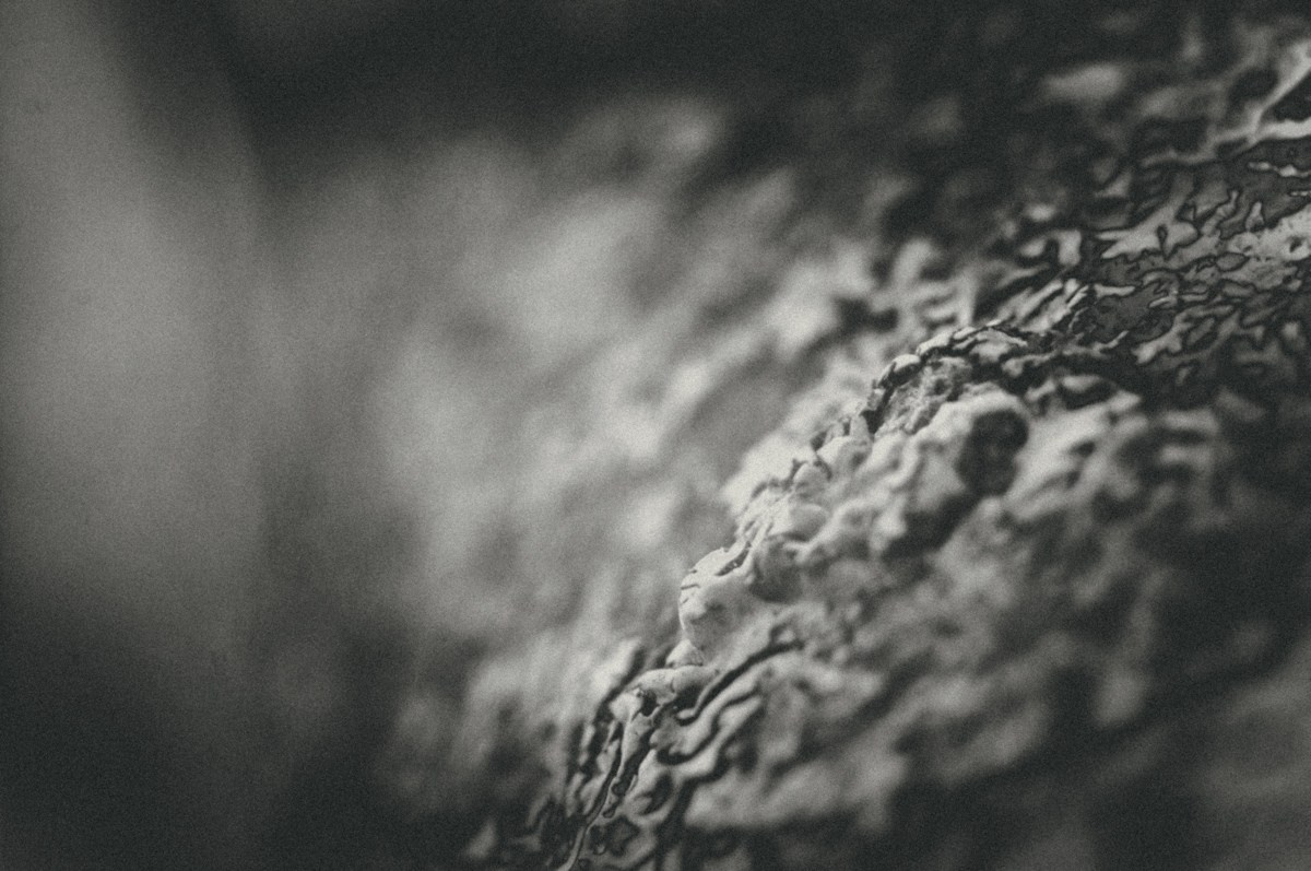 Everyday life. ПЕТР ПОПОВ | VISUAL ARTIST