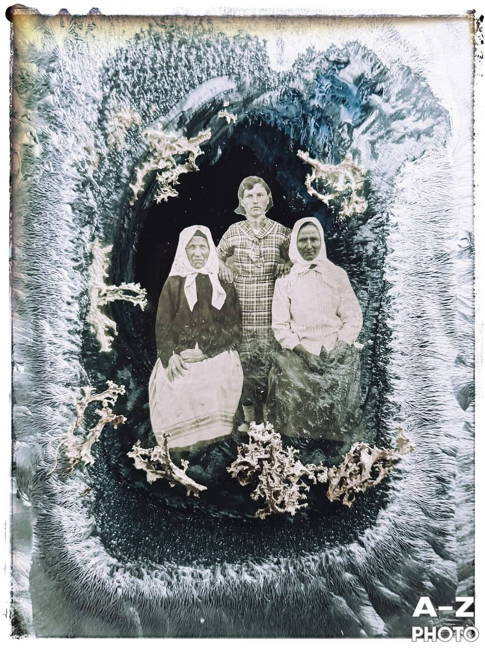 #ФОТОНЕДЕЛИ 05.01.2026. Женский семейный фотограф Тула Москва Захарова Анна