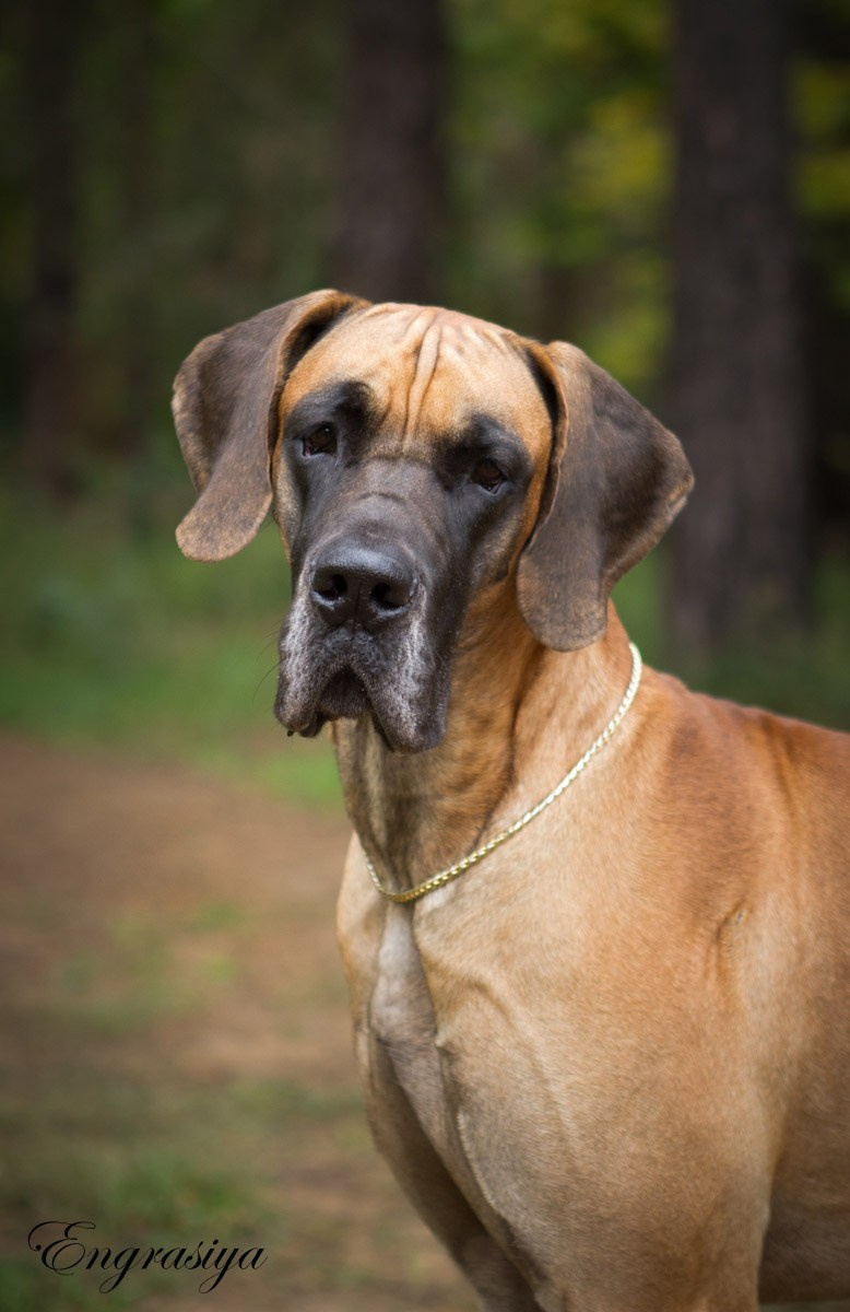 На природе. Семейный и детский фотограф в Москве Мария Быкова