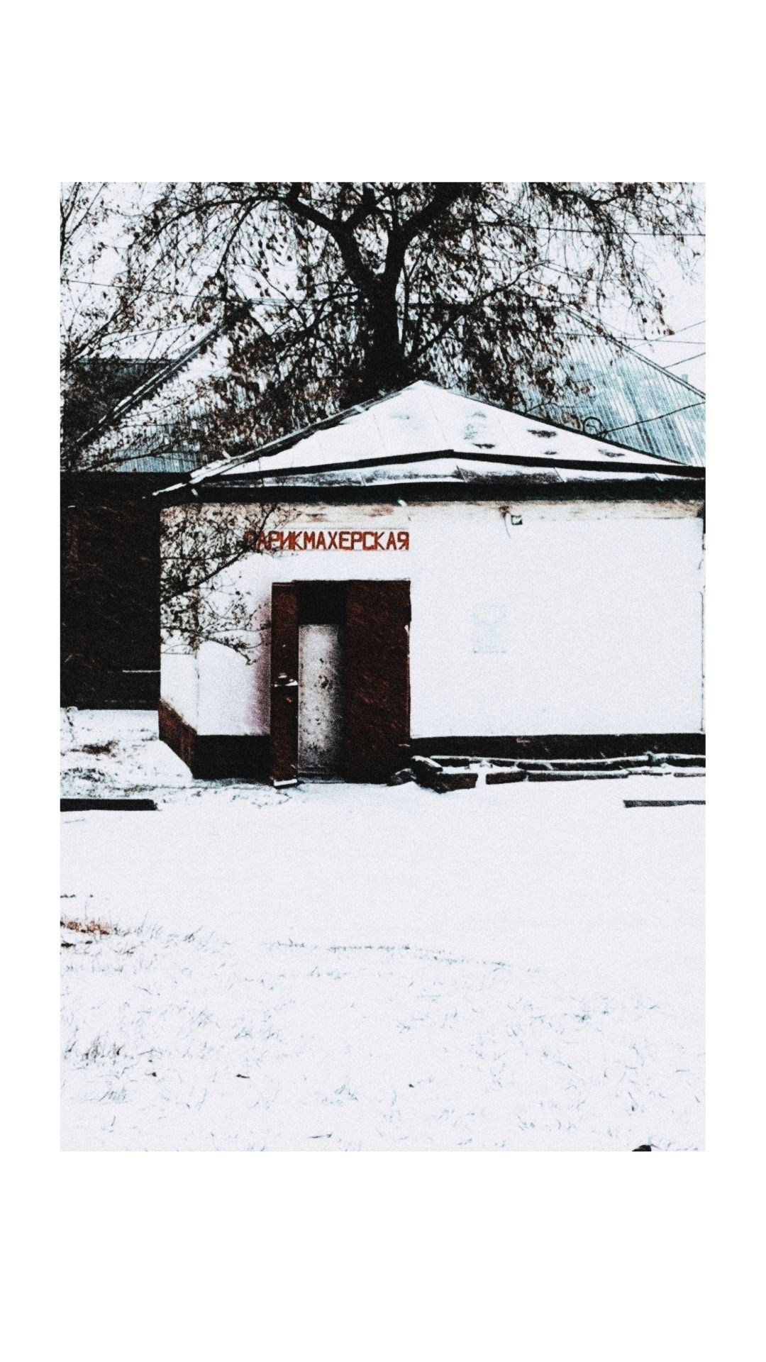 Зима по-сибирски. Главная