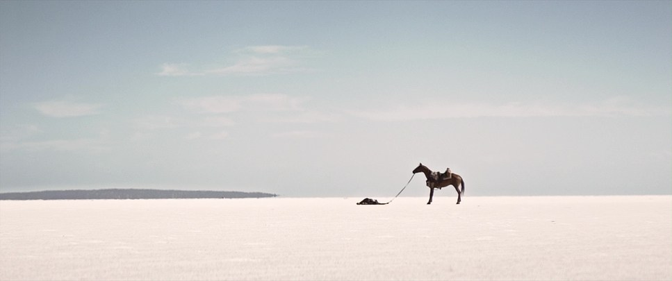 Color Theory. TENZO | Creative Producer / Art Director